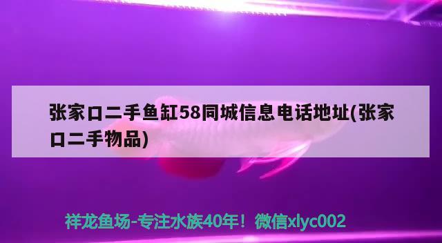 张家口二手鱼缸58同城信息电话地址(张家口二手物品) 祥龙超血红龙鱼