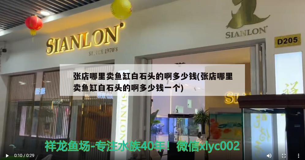 张店哪里卖鱼缸白石头的啊多少钱(张店哪里卖鱼缸白石头的啊多少钱一个) 鹦鹉鱼