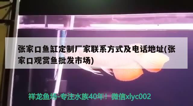 张家口鱼缸定制厂家联系方式及电话地址(张家口观赏鱼批发市场) 观赏鱼批发