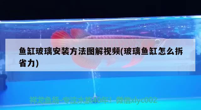 鱼缸玻璃安装方法图解视频(玻璃鱼缸怎么拆省力)