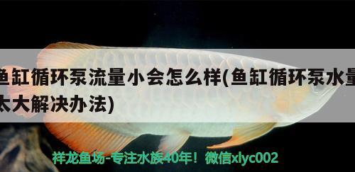 鱼缸循环泵流量小会怎么样(鱼缸循环泵水量太大解决办法)