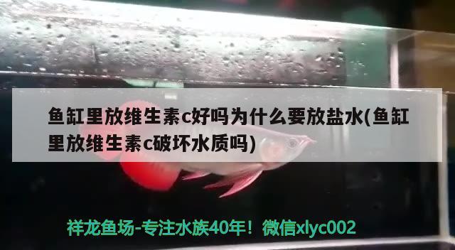 鱼缸里放维生素c好吗为什么要放盐水(鱼缸里放维生素c破坏水质吗) 翡翠凤凰鱼