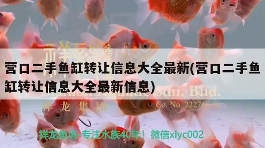 营口二手鱼缸转让信息大全最新(营口二手鱼缸转让信息大全最新信息)