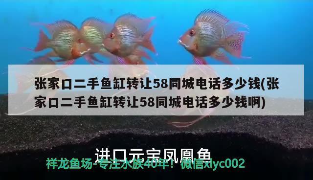 张家口二手鱼缸转让58同城电话多少钱(张家口二手鱼缸转让58同城电话多少钱啊)