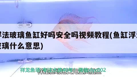 浮法玻璃鱼缸好吗安全吗视频教程(鱼缸浮法玻璃什么意思) 白子黑帝王魟鱼