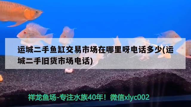 运城二手鱼缸交易市场在哪里呀电话多少(运城二手旧货市场电话) 鹦鹉鱼