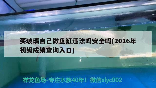 买玻璃自己做鱼缸违法吗安全吗(2016年初级成绩查询入口) PH调节剂