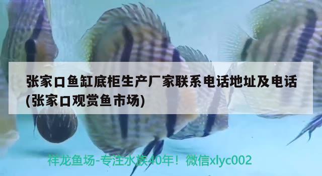 张家口鱼缸底柜生产厂家联系电话地址及电话(张家口观赏鱼市场)