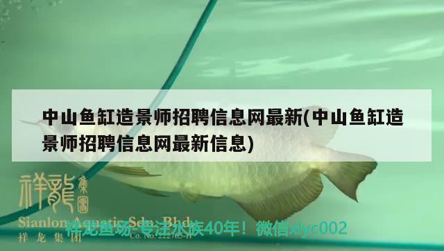 中山鱼缸造景师招聘信息网最新(中山鱼缸造景师招聘信息网最新信息)