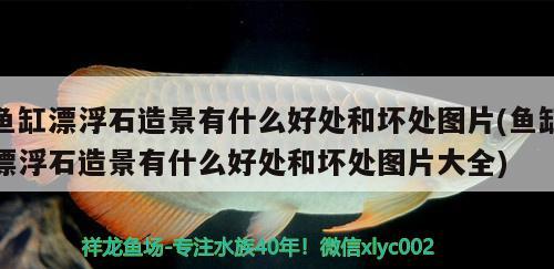 鱼缸漂浮石造景有什么好处和坏处图片(鱼缸漂浮石造景有什么好处和坏处图片大全)