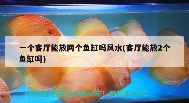 一个客厅能放两个鱼缸吗风水(客厅能放2个鱼缸吗) 鱼缸风水