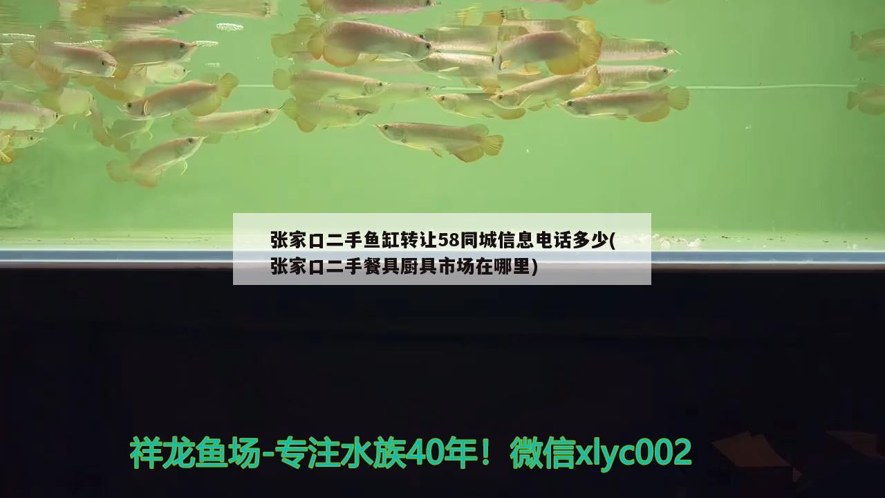 张家口二手鱼缸转让58同城信息电话多少(张家口二手餐具厨具市场在哪里) 观赏鱼企业目录