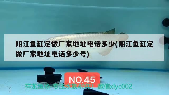 阳江鱼缸定做厂家地址电话多少(阳江鱼缸定做厂家地址电话多少号) 红勾银版鱼