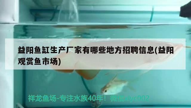 益阳鱼缸生产厂家有哪些地方招聘信息(益阳观赏鱼市场) 观赏鱼市场（混养鱼）