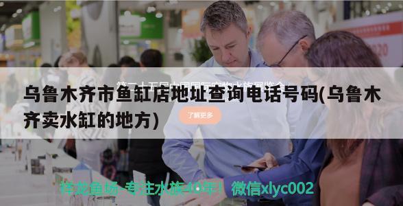 乌鲁木齐市鱼缸店地址查询电话号码(乌鲁木齐卖水缸的地方) 名贵锦鲤鱼