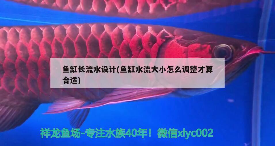 鱼缸长流水设计(鱼缸水流大小怎么调整才算合适)