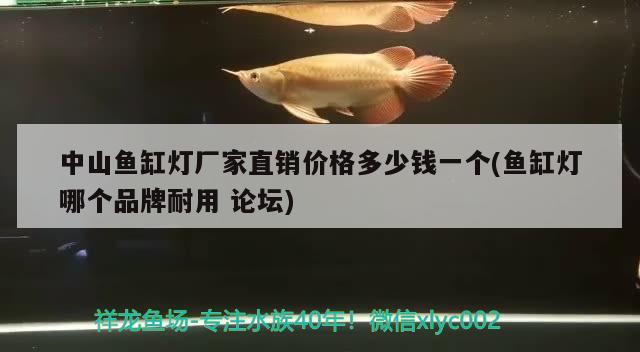 中山鱼缸灯厂家直销价格多少钱一个(鱼缸灯哪个品牌耐用论坛)