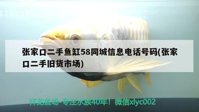 张家口二手鱼缸58同城信息电话号码(张家口二手旧货市场) 申古三间鱼