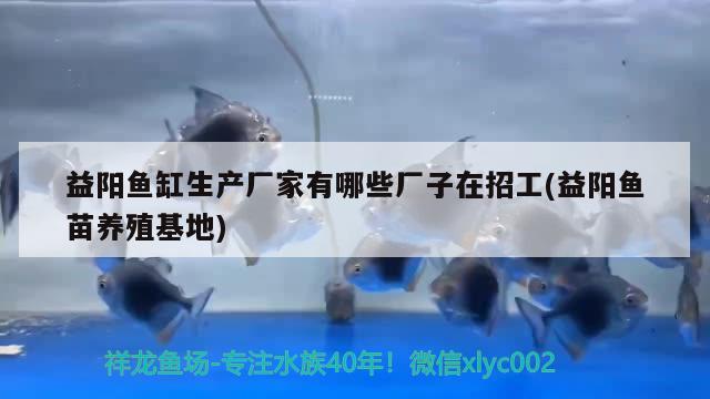 益阳鱼缸生产厂家有哪些厂子在招工(益阳鱼苗养殖基地) 白化火箭