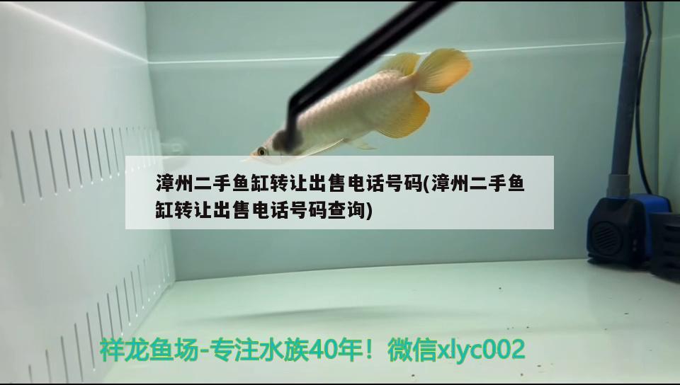 漳州二手鱼缸转让出售电话号码(漳州二手鱼缸转让出售电话号码查询) 养鱼知识