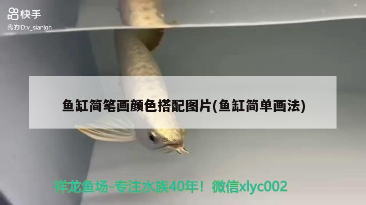 鱼缸简笔画颜色搭配图片(鱼缸简单画法) 祥龙水族滤材/器材