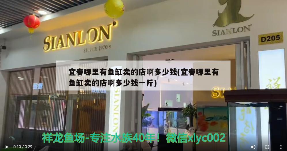 宜春哪里有鱼缸卖的店啊多少钱(宜春哪里有鱼缸卖的店啊多少钱一斤) 定时器/自控系统