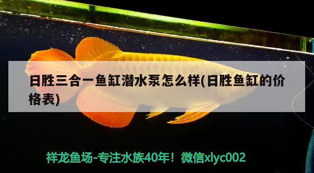 日胜三合一鱼缸潜水泵怎么样(日胜鱼缸的价格表) 祥龙赫舞红龙鱼