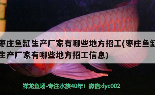 枣庄鱼缸生产厂家有哪些地方招工(枣庄鱼缸生产厂家有哪些地方招工信息) 温控设备