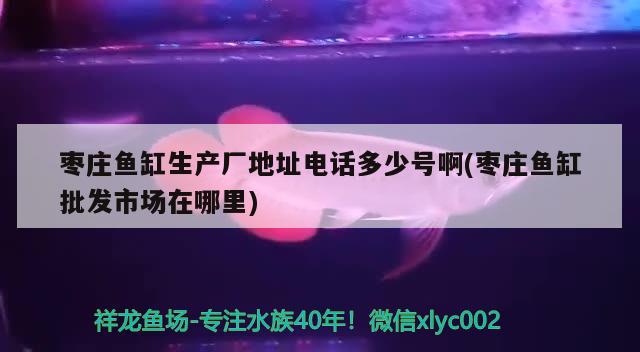 枣庄鱼缸生产厂地址电话多少号啊(枣庄鱼缸批发市场在哪里) 除藻剂