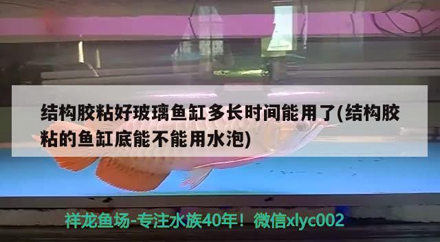 结构胶粘好玻璃鱼缸多长时间能用了(结构胶粘的鱼缸底能不能用水泡)