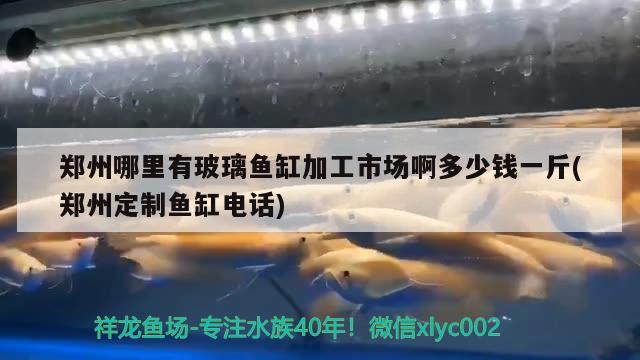 郑州哪里有玻璃鱼缸加工市场啊多少钱一斤(郑州定制鱼缸电话)