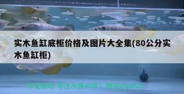 实木鱼缸底柜价格及图片大全集(80公分实木鱼缸柜) 黄宽带蝴蝶鱼