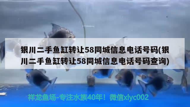 银川二手鱼缸转让58同城信息电话号码(银川二手鱼缸转让58同城信息电话号码查询)