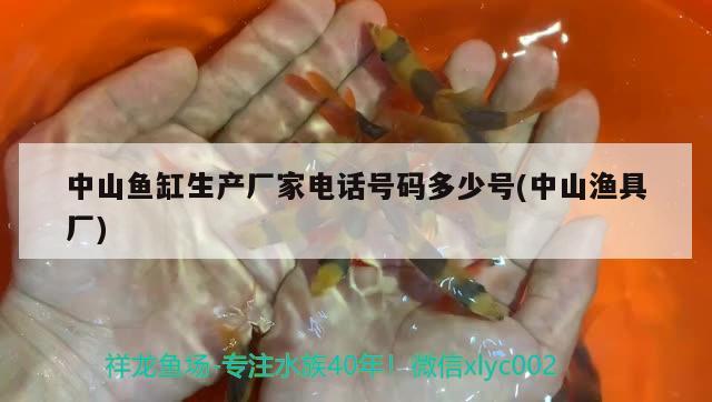 中山鱼缸生产厂家电话号码多少号(中山渔具厂) 其它水族用具设备