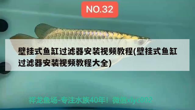 壁挂式鱼缸过滤器安装视频教程(壁挂式鱼缸过滤器安装视频教程大全)