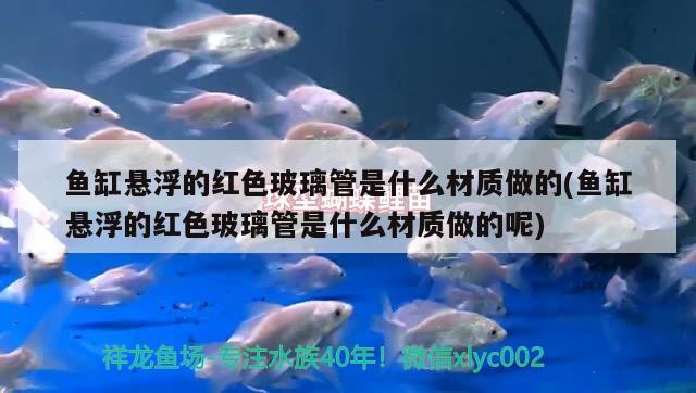 鱼缸悬浮的红色玻璃管是什么材质做的(鱼缸悬浮的红色玻璃管是什么材质做的呢)