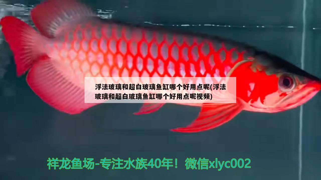 浮法玻璃和超白玻璃鱼缸哪个好用点呢(浮法玻璃和超白玻璃鱼缸哪个好用点呢视频)