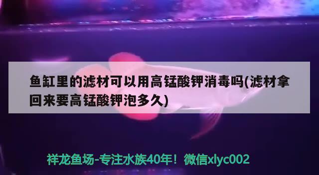 鱼缸里的滤材可以用高锰酸钾消毒吗(滤材拿回来要高锰酸钾泡多久) 观赏鱼企业目录