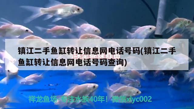 镇江二手鱼缸转让信息网电话号码(镇江二手鱼缸转让信息网电话号码查询) 马拉莫宝石鱼