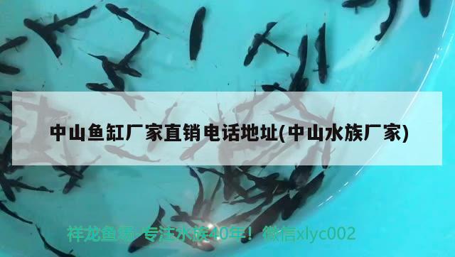 中山鱼缸厂家直销电话地址(中山水族厂家) 黑云鱼