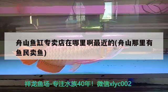 舟山鱼缸专卖店在哪里啊最近的(舟山那里有鱼民卖鱼) 和尚鱼