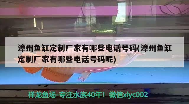 漳州鱼缸定制厂家有哪些电话号码(漳州鱼缸定制厂家有哪些电话号码呢) 大白鲨鱼