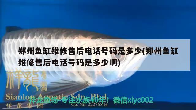 郑州鱼缸维修售后电话号码是多少(郑州鱼缸维修售后电话号码是多少啊)