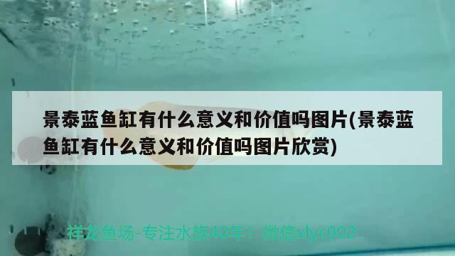 景泰蓝鱼缸有什么意义和价值吗图片(景泰蓝鱼缸有什么意义和价值吗图片欣赏)