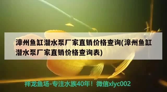 漳州鱼缸潜水泵厂家直销价格查询(漳州鱼缸潜水泵厂家直销价格查询表) 银河星钻鱼