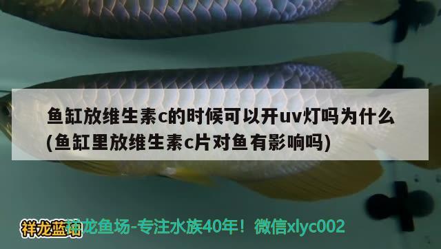 鱼缸放维生素c的时候可以开uv灯吗为什么(鱼缸里放维生素c片对鱼有影响吗) 充氧泵