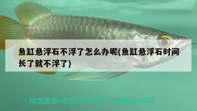 鱼缸悬浮石不浮了怎么办呢(鱼缸悬浮石时间长了就不浮了)