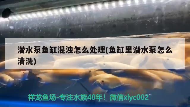 潜水泵鱼缸混浊怎么处理(鱼缸里潜水泵怎么清洗)