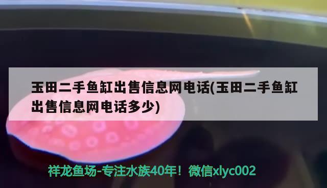 玉田二手鱼缸出售信息网电话(玉田二手鱼缸出售信息网电话多少)