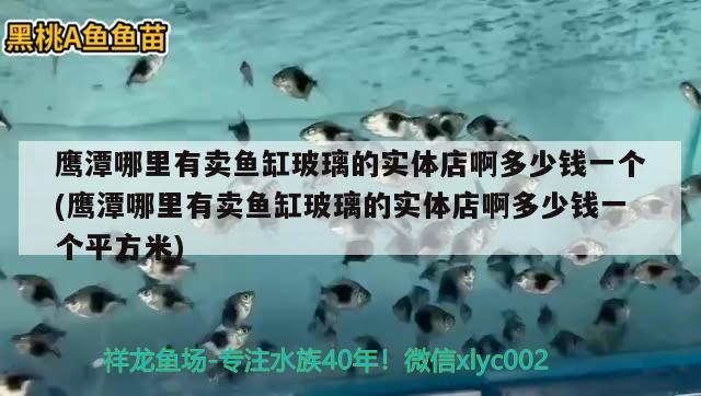 鹰潭哪里有卖鱼缸玻璃的实体店啊多少钱一个(鹰潭哪里有卖鱼缸玻璃的实体店啊多少钱一个平方米) 黄鳍鲳鱼